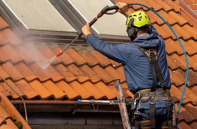 Démoussage et hydrofuge de toiture à Aubenasson